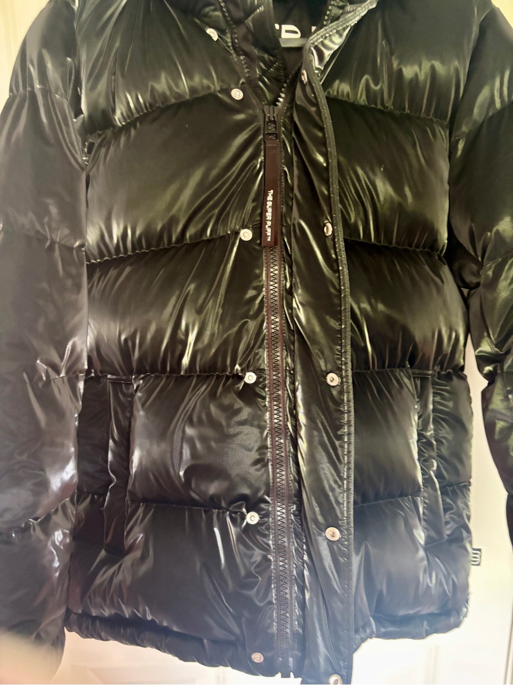 Aritzia Men's Super Puff Jacket - Picture 9 of 14